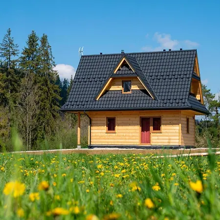 Domek Z Widokiem Na Gory シャレー