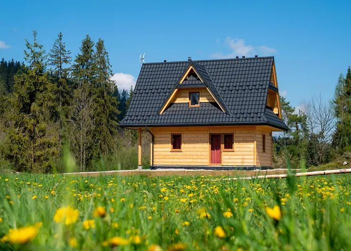 Z Widokiem Na Gory 木屋